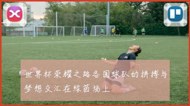 世界杯荣耀之路各国球队的拼搏与梦想交汇在绿茵场上