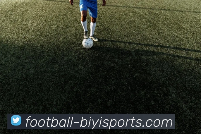 必一体育发展历程